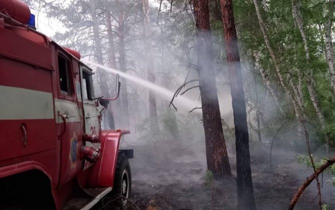 Qazaxıstan FHN: Ölkənin şərqində yanğınla bağlı vəziyyət sabitləşib