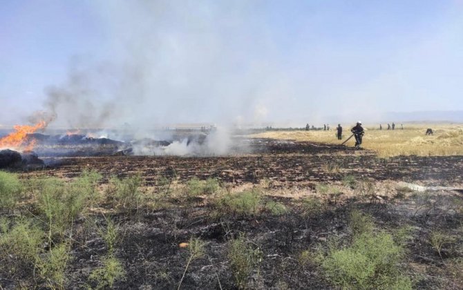 Naxçıvanda taxıl zəmisi yanıb