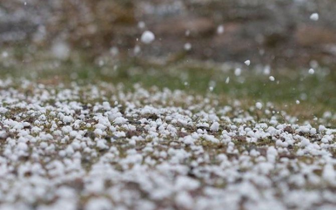 Dolunun yaratdığı fəsadlar: Taxılın qiyməti artacaq?