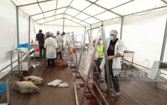 AQTA rəsmisi: “Respublika üzrə səyyar kəsim çadırları formalaşdırılıb” - FOTOREPORTAJ