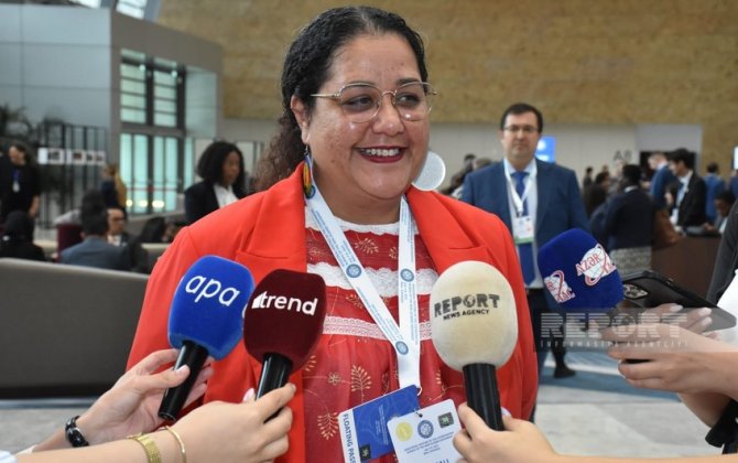 Maqali Tinqal: “Prezident İlham Əliyevin Fransanın müstəmləkəçilik siyasəti ilə bağlı dedikləri həqiqətdir”