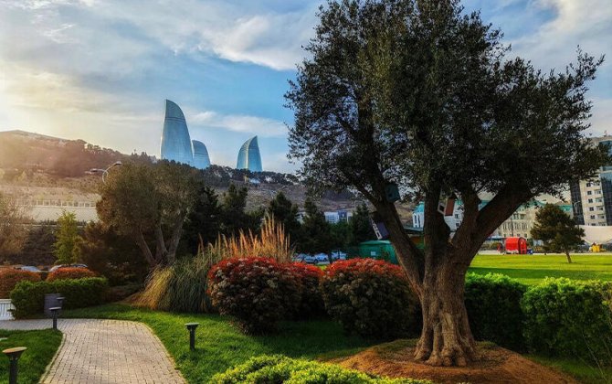 Havanın təzadlı keçməsinin səbəbi açıqlandı