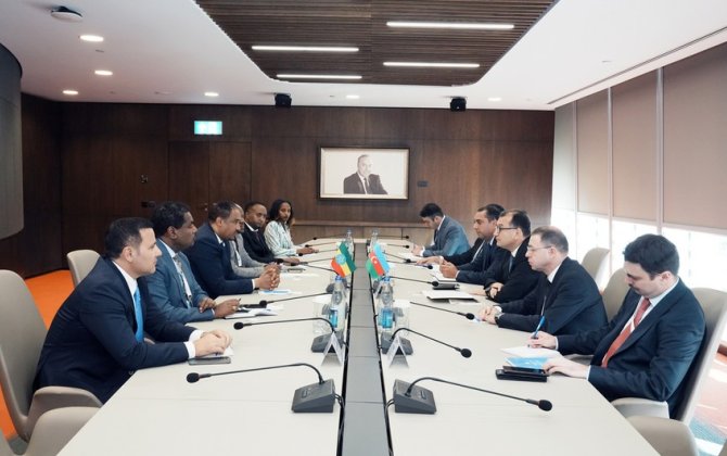 Azərbaycan və Efiopiya iqtisadi əməkdaşlığın inkişafını müzakirə edib