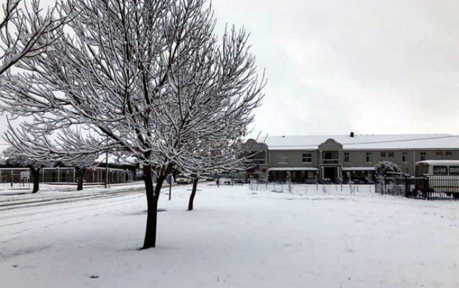 Yayın ortasında Afrikaya qar yağıb - VİDEO