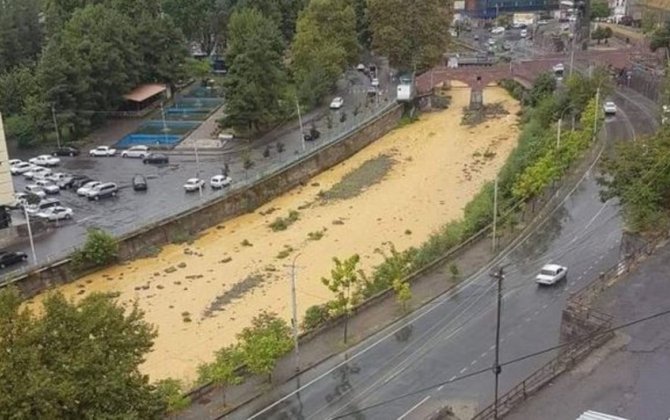 Ermənistanın törətdiyi ekoloji fəlakət: Azərbaycan vətəndaş cəmiyyətinin təşəbbüsləri rezonans yaradıb - RƏY