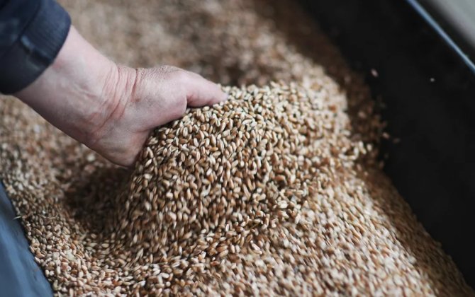 Taxıl dəhlizi ətrafında gərginlik artır - Rusiya və Qərb nə etmək fikrindədir?..