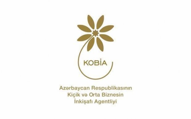 KOBİA 4-cü qrant müsabiqəsi ilə bağlı vebinar keçirdi - FOTO