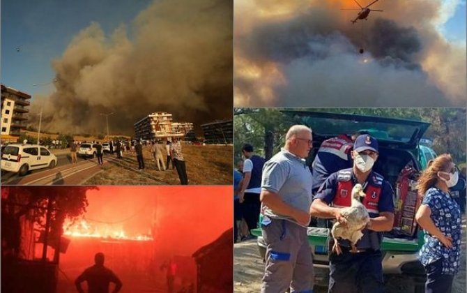 Çanaqqalada meşə yanğını davam edir: Evlərə ziyan dəyib, kəndlər boşaldılıb - FOTO/VİDEO