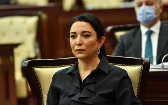 Azərbaycan ombudsmanı Avropa Şurasının insan hüquqları üzrə komissarının bəyanatına cavab verib