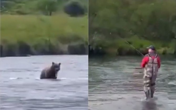 Bir-birini gözdən qaçırmayan balıq ovçuları - VİDEO