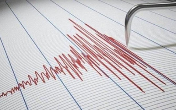 İranda 4,6 bal gücündə zəlzələ olub - FOTO