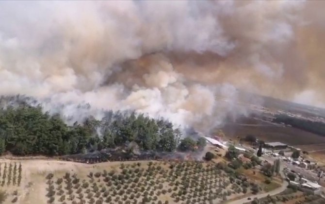 İzmirdə meşəlik ərazidə yanğın baş verib