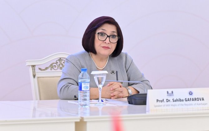 Sahibə Qafarova konfrans iştirakçılarını antiterror tədbirləri barədə məlumatlandırdı