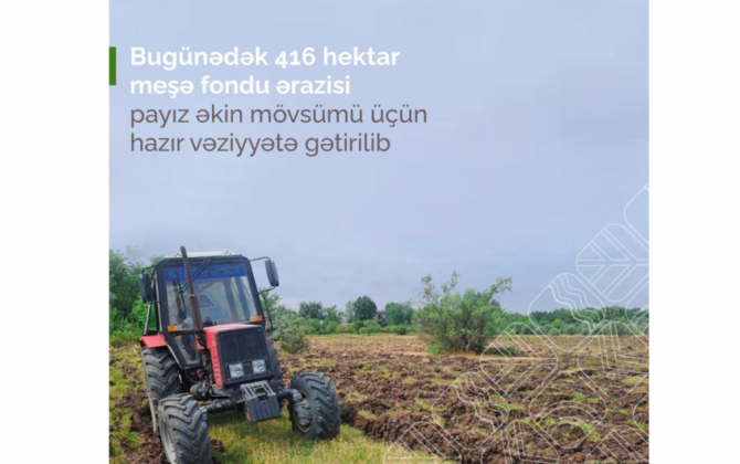 Bu günədək 416 hektar meşə fondu ərazisi payız əkini üçün hazırlanıb