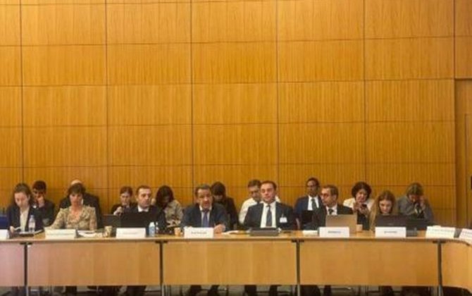 Azərbaycan nümayəndə heyəti İƏİT-in yüksək səviyyəli tədbirində iştirak edib - FOTO