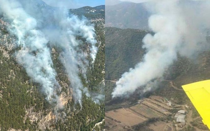Türkiyənin iki bölgəsində meşə yanğını başlayıb - FOTO