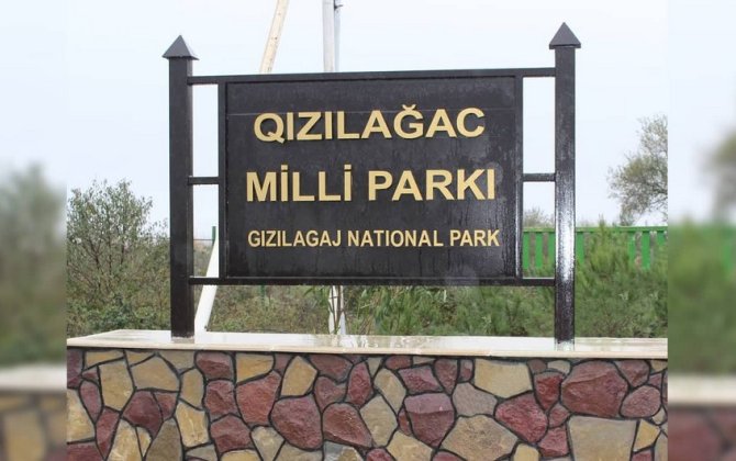 Xidmət rəisi: “Qızılağac Milli Parkında vəziyyət əvvəlki illərdən qat-qat yaxşıdır”
