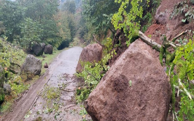 Lənkəran-Lerik avtomobil yolunda sürüşmə aktivləşib
