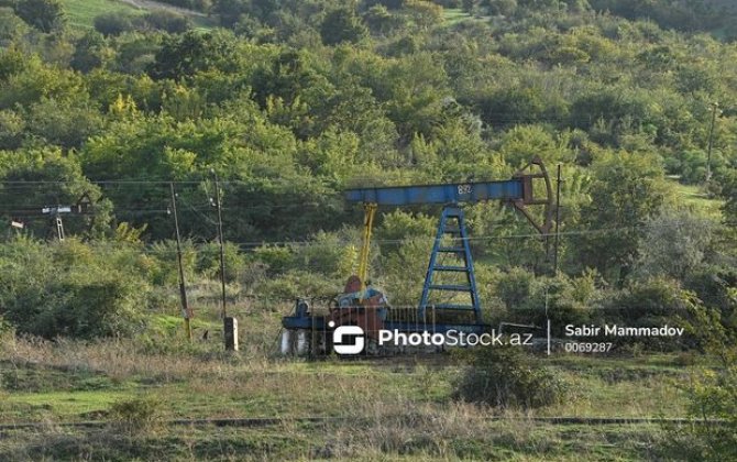 Əsrarəngiz təbiət, “qara qızıl”, bir də buruqlar: Meşədən neft necə çıxır? - REPORTAJ + FOTO