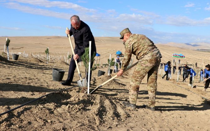 ETSN Zəfər Gününü ağacəkmə aksiyası ilə qeyd etdi -xa0FOTOLAR