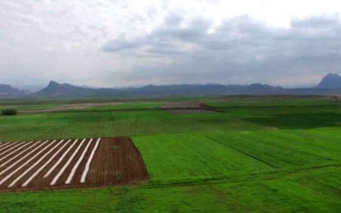 Naxçıvanda pivot suvarma sistemləri qurulacaq