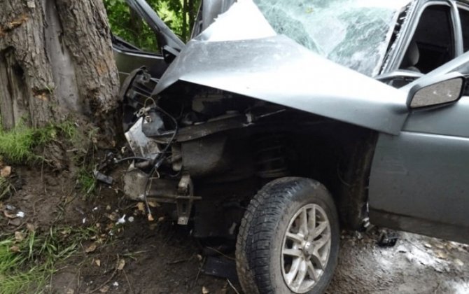 В Зардабе автомобиль врезался в дерево, есть погибший и пострадавший