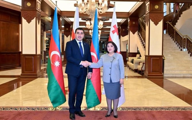 Sahibə Qafarova gürcüstanlı həmkarı ilə görüşdə bu məsələlərdən danışdı - FOTOLAR