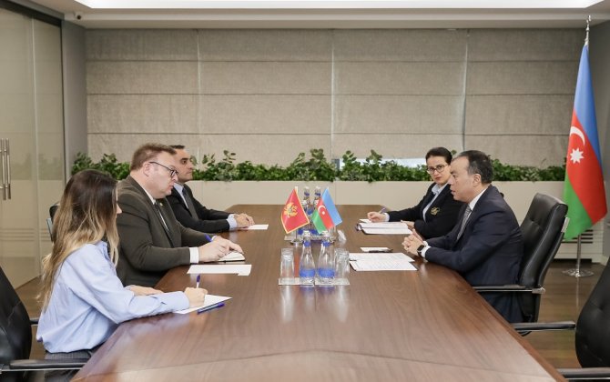Nazirlikdə Monteneqronun ölkəmizdəki səfiri ilə görüş olub - FOTO