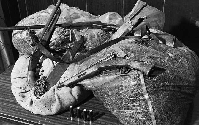 Qırmızı ölkənin “ağ ölüm” faktları – sovet liderlərinin gizlətdiyi STATİSTİKA