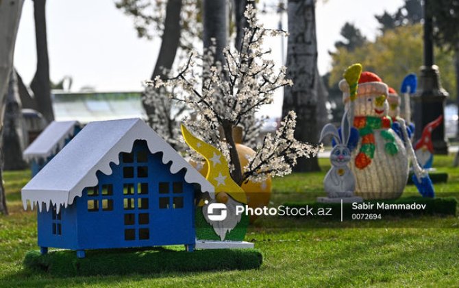 Yeni ilin ilk gününün hava proqnozu AÇIQLANDI