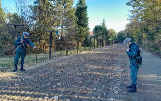 DSX: “Dövlət sərhədində 2,3 milyon manatlıq qaçaqmal ələ keçib” - FOTO