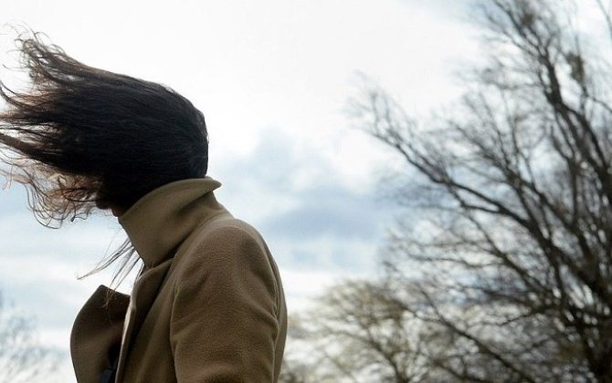 Nazirlik küləkli hava şəraiti ilə bağlı vətəndaşlara müraciət etdi