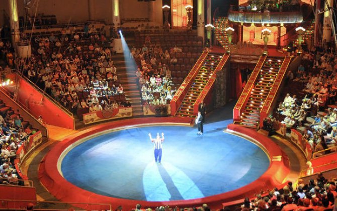 Bakı Dövlət Sirkinin fəaliyyəti dayandırılıb - SƏBƏB+ RƏSMİ