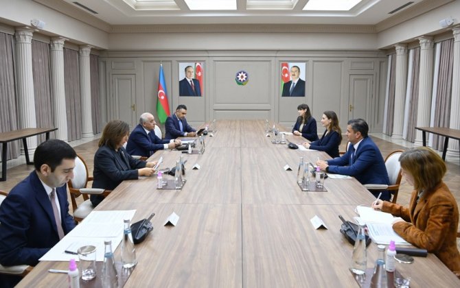 Baş nazir UNICEF-in Avropa və Mərkəzi Asiya üzrə regional direktoru ilə görüşüb