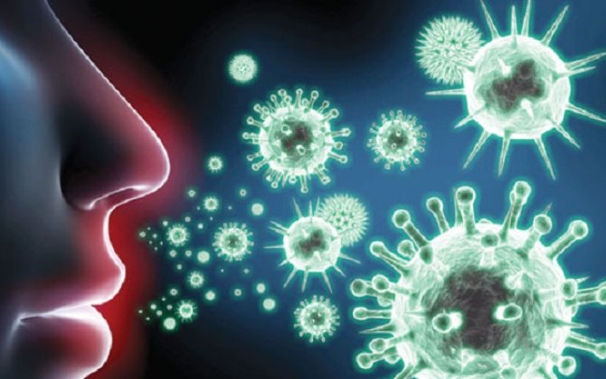 Koronavirus qədər təhlükəli daha bir virus aşkarlandı