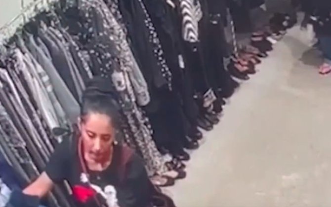 Yeni Zelandiya parlamentinin iranlı üzvünün oğurluq etdiyi kadrlar yayıldı - ANBAAN VİDEO