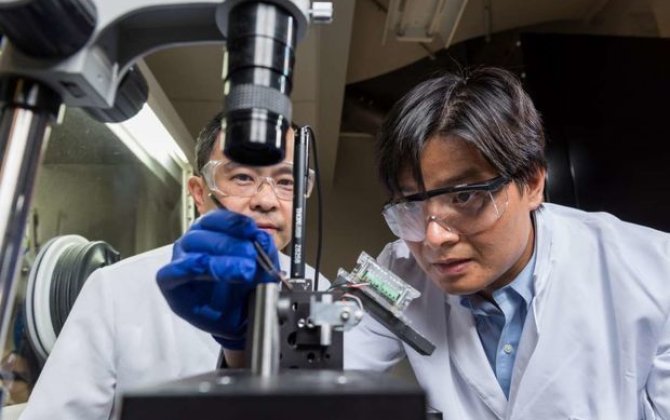 Alimlər ölüm nisbəti 100 faiz olan koronovirus növü yaradıblar