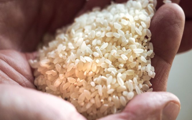 Qabları yumaq üçün düyüdən istifadə edin - Bunu bilirdiniz?