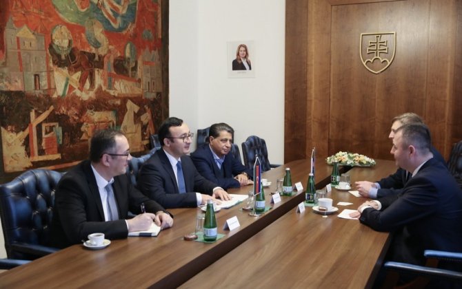 Azərbaycan və Slovakiya çoxtərəfli əməkdaşlığın inkişafını müzakirə edib - FOTO