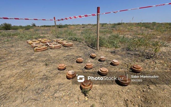 Azərbaycanın qadın minaaxtaranlarının aşkarladığı minaların sayı açıqlandı