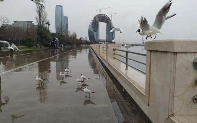 Qeyri-sabit hava şəraiti nə vaxtadək davam edəcək? - AÇIQLAMA