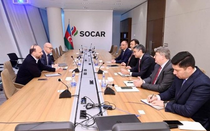 SOCAR və BƏƏ şirkəti əməkdaşlıq perspektivlərini müzakirə edib - FOTO