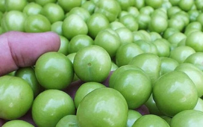 Bakıda 350 manata alça satılır