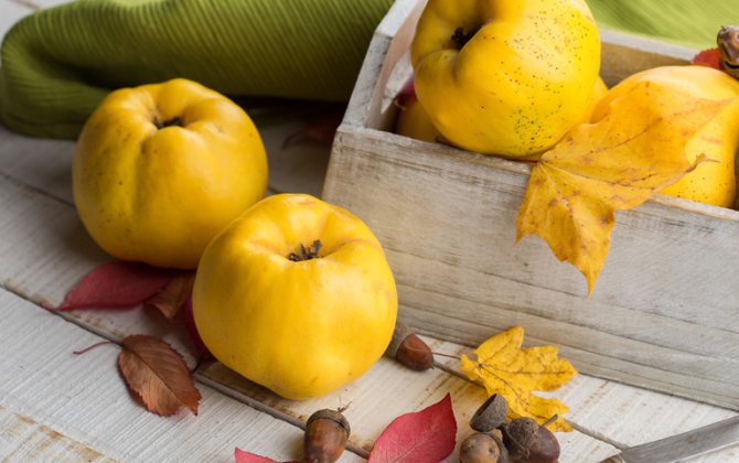 Ürəyi qoruyur, mədəni sakitləşdirir