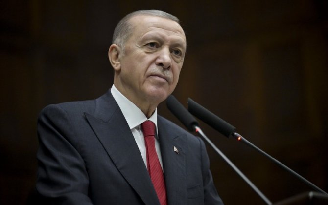 Эрдоган: Турция входит в тройку лидеров по производству БПЛА