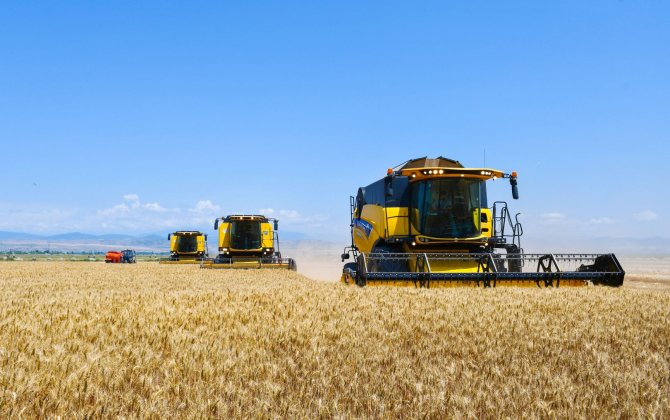 Казахстан увеличил экспорт сельхозпродукции в Китай