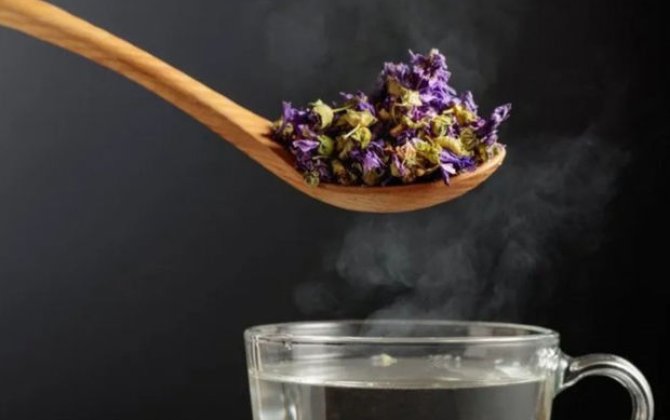 Bir dəfəyə öskürəyi kəsə bilən çiçək