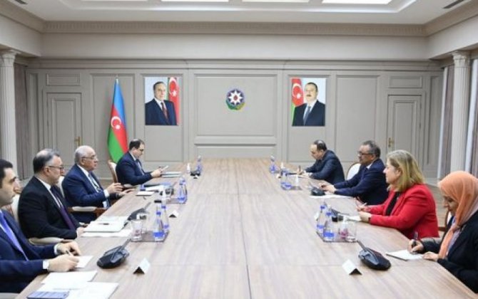 Премьер-министр Азербайджана встретился с генеральным директором ВОЗ - ФОТО