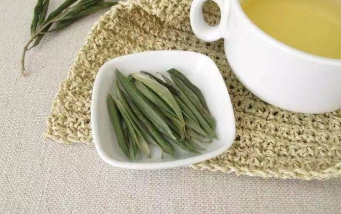 Zeytun yarpaqları qanda şəkəri salırmı? - Alimlərdən araşdırma