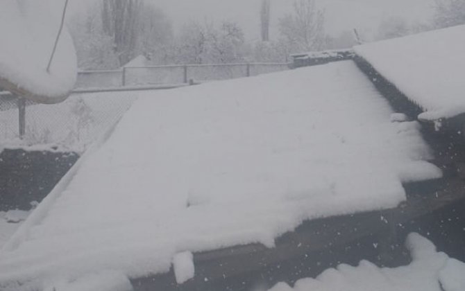 В Губинском и Гусарском районах в Илахыр чершенбе выпал снег - ФОТО